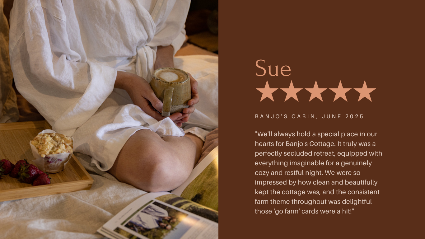 Review from Sue — Banjo's Cabin