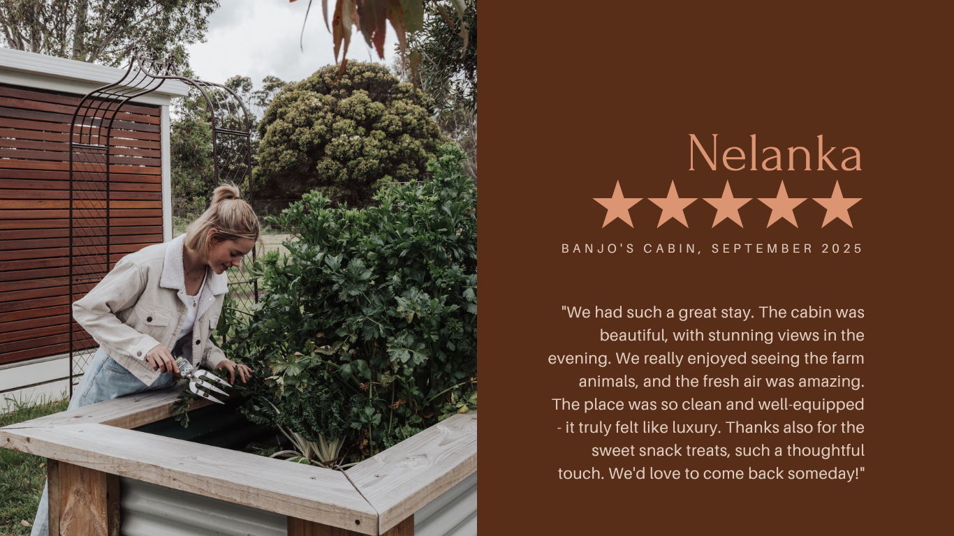 Review from Nelanka — Banjo's Cabin