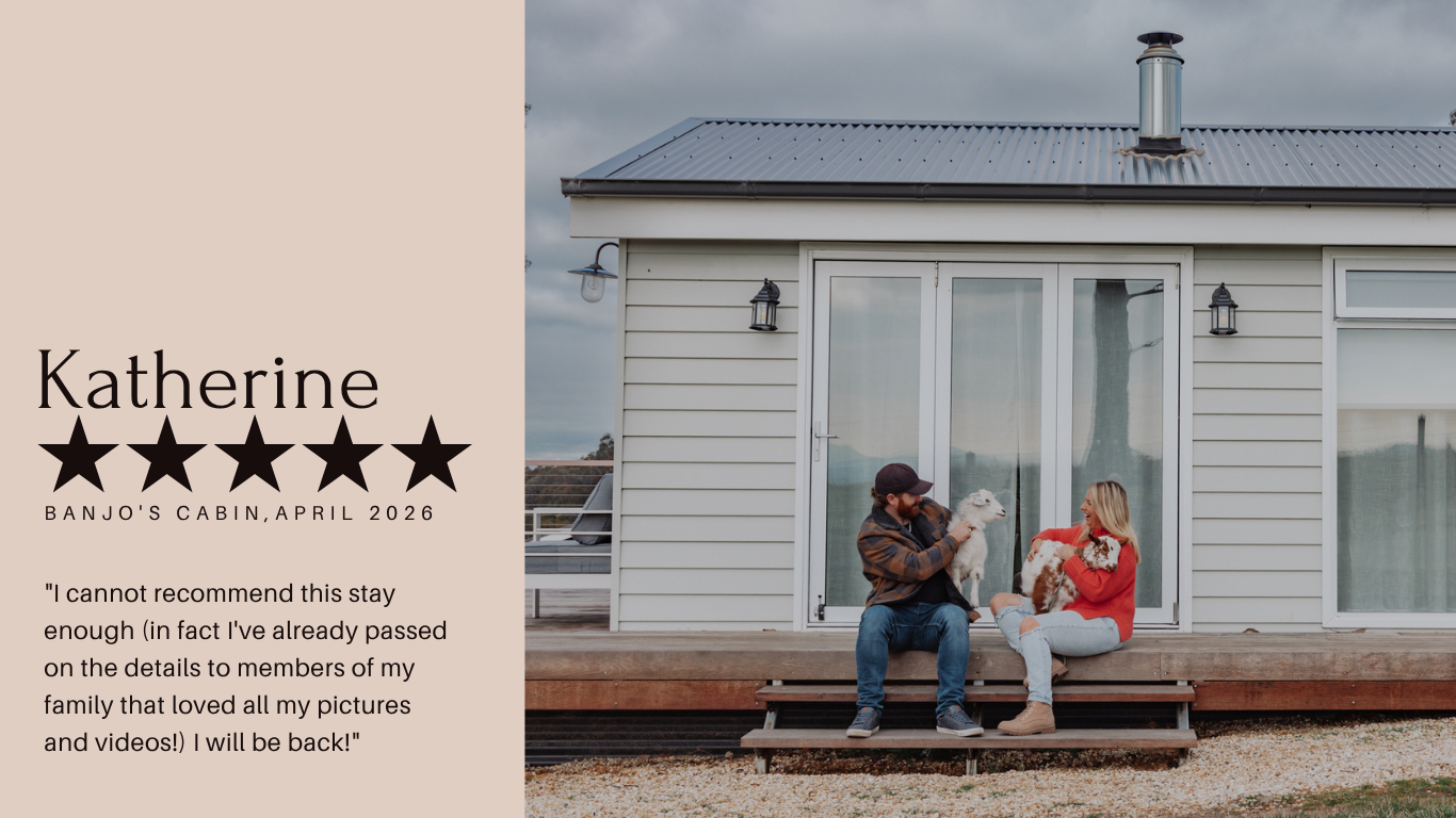 Review from Katherine — Banjo's Cabin